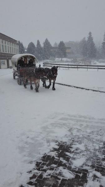 Haus Wiesengrund Фридрихсбрун Екстериор снимка